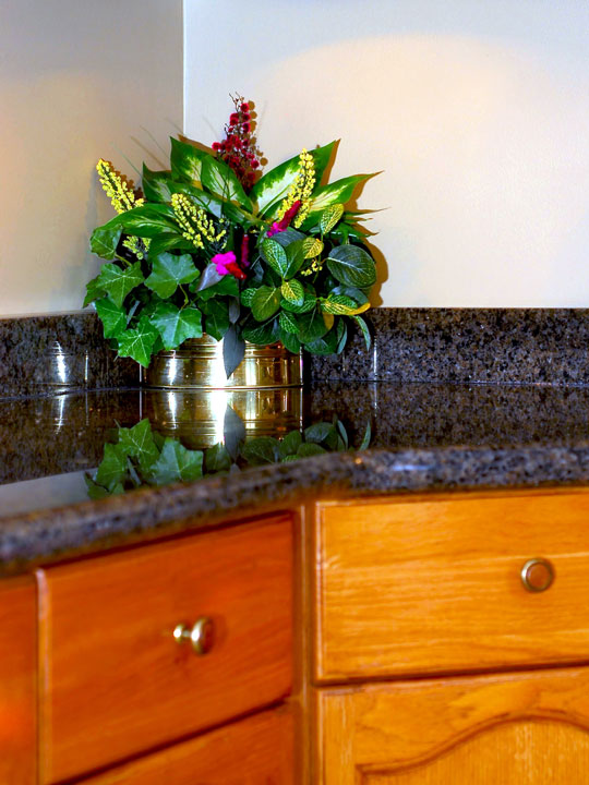 granite countertop angle with green houseplant